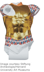 torso