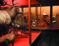 museum3