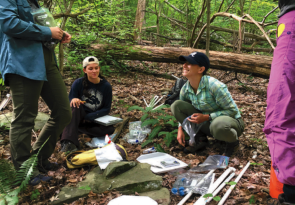 Students from Taylor's lab conducting field research at a site in the Hudson Valley