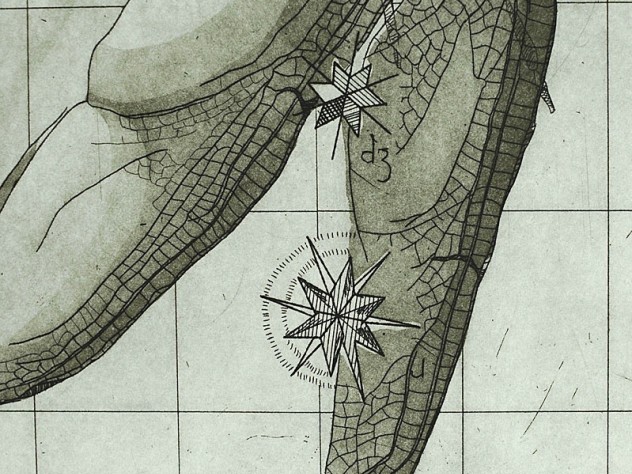 Detail from print