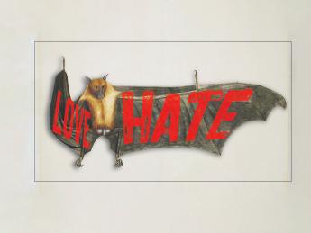 Image of a bat depicting the love-hate relationship associated with the creatures