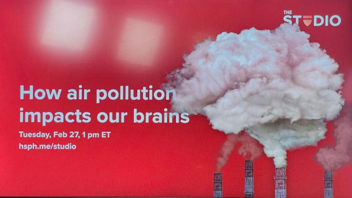 How air pollution impacts our brains
