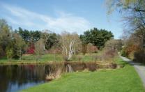 Paramecium Pond at Wellesley College