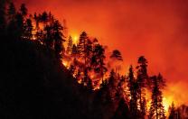 A California hillside burns