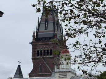 Historic building tower with intricate architecture against a gray sky, partially obscured by tree branches.