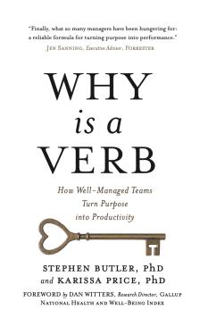 Why Is a Verb: How Well Managed Teams Turn Purpose into Productivity by Karissa Price with Stephen Butler