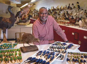 Scott Edwards photographed in the ornithology collection