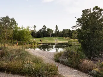 Green landscape with path in foreground leading to a pond and grassy open area. 