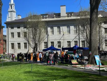 tents in Harvard Yard 