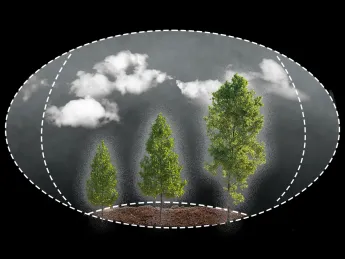 climate change