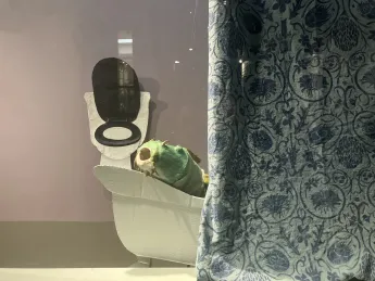 art display gallery window view from street of a fish in a bathtub