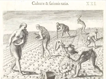 Native Americans cultivating a field