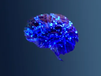 Conceptual illustration of neural networks in the human brain.
