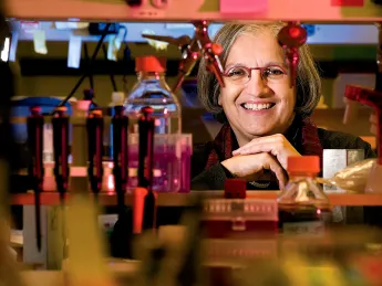 Professor Dyann Wirth leads the Harvard Malaria Initiative.