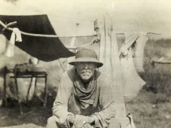 Rice in the field