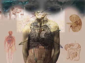 Illustration of human torso with affected organs highlighted