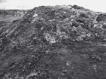 Historic photograph of heap of fabric scraps