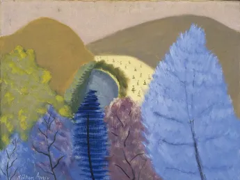 Discolored trees over a vista
