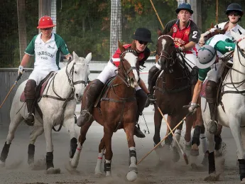 Four polo players ride horses and one swings a mallet