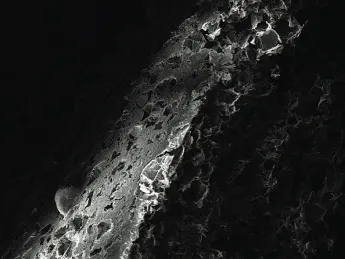 A scanning electron microscope image reveals the porous nature of a bioengineered disk where immune cells can reside and be programmed for vaccination.