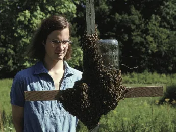 The author in 1974—already infatuated with <i>Apis melllifera</i>—studies a swarm choosing its home.