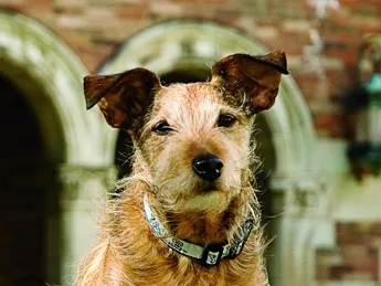 Monty: Check him out.