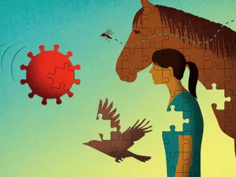 Illustration of a floating particle of the virus that causes Eastern Equine Encephalitis, the mosquito vector, and bird, horse, and human hosts