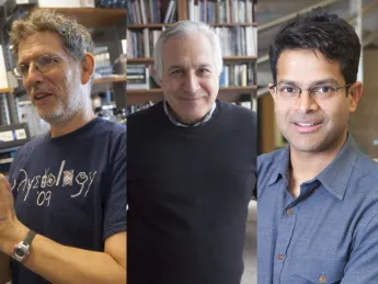 New NAS members Andrew W. Murray, Jeff W. Lichtman, and Vamsi K. Mootha