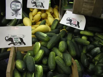 Cukes, summer squash, and plenty of other local produce and homemade goods may be found at the Farmers’ Market at Harvard