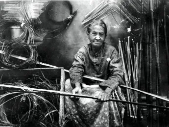 Darden preparing river-cane splints for weaving, c. 1900.