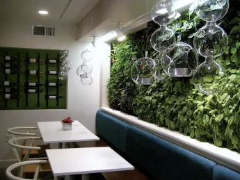 Casa B’s living wall of greenery sets a homegrown tone in the lower dining room. 