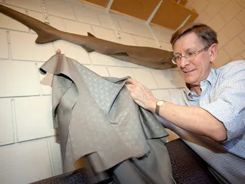 Bigelow professor of ichthyology George Lauder in his lab with a model of a shark (above) and a sample of the "sharkskin" swimsuit fabric that he studied. Some Olympic swimmers favor the high-tech fabric, believing that it increases speed.