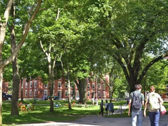 Scenes of Harvard Yard on a mid-July morning
