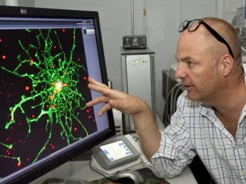 Kevin Kit Parker, the Thomas D. Cabot Associate Professor of Applied Science and Associate Professor of Biomedical Engineering, is researching traumatic brain injury (primarily from his experience in the military)
