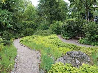 Meandering paths at Fairsted, the Frederick Law Olmsted National Historic Site. 