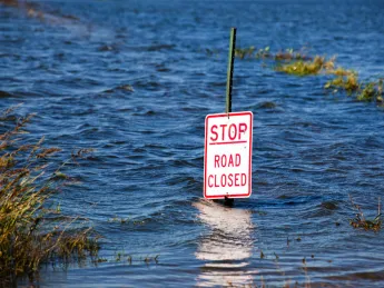 A traffic sign with the words "Stop Road Closed" submerged in several feet of water