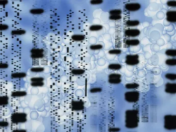 Computer artwork of an autoradiogram of DNA sequences. 