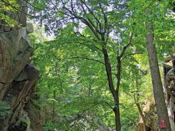 Hikers stand in Purgatory Chasm, near Worcester, Massachusetts