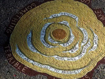 An image from Gilens's "Reading Forest"  installation, a sketched cross-section of a tress with words interspersed in the rings. They read: "The effects of climate change are rippling through the landscape and will intensify in ways that are difficult to predict."