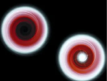Illustrations depict gas from a sun-like companion star being drawn in a swirling pattern into a black hole (top) and onto a neutron star (bottom). In both cases, as the gas nears the central object, strong gravitation weakens the light, making it appear redder and dimmer. When the gas strikes the solid surface of the neutron star, it glows brightly in x-rays. But after crossing the "event horizon" of the black hole, it produces no x-rays, since a black hole has no surface. 