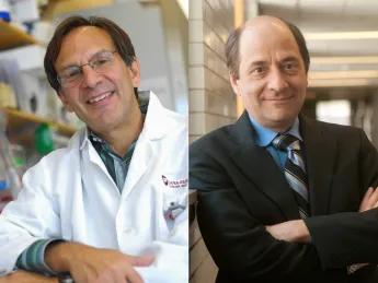Bruce Spiegelman and Michael Greenberg