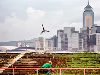 The China 2030/2050 project will focus on energy, atmosphere, and climate change in China.
