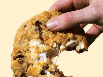 Photograph of cornflake chocolate chip marshmallow cookie from the book “Science and Cooking” 