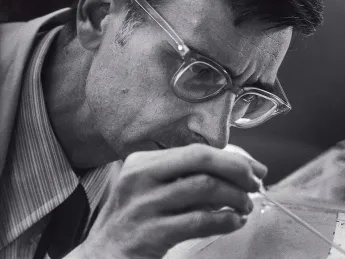 Photograph of E.O. Wilson observing ants