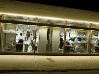 Sherman Fairchild, new home for stem cell and regenerative biology (the biggest undergraduate life-sciences concentration), buzzed with activity on a fall evening. A $65-million to $70-million rehab (see <a href="http://harvardmagazine.com/2010/11/gut-renovation">“Gut Renovation”</a>) brought members of this first cross-school (Medicine and Arts and Sciences) department together in Cambridge sooner than would have happened at the planned Allston science center site. 