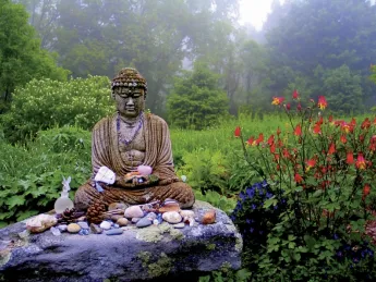 The Insight Meditation Society