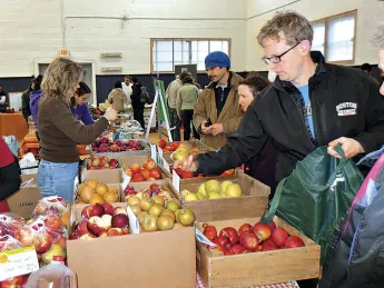 Apples grown at Apex Orchards in Shelburne, Massachusetts