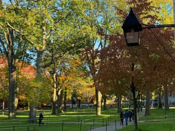 Harvard Yard in the fall