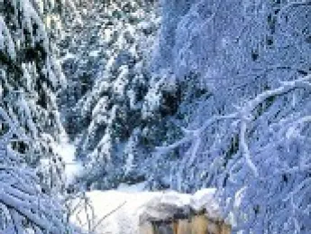 A bit of scenery: Doane's Falls, Royalston
