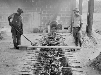 <em>Real</em> barbecuing, the old- fashioned way, at Braswell Plantation, 1944